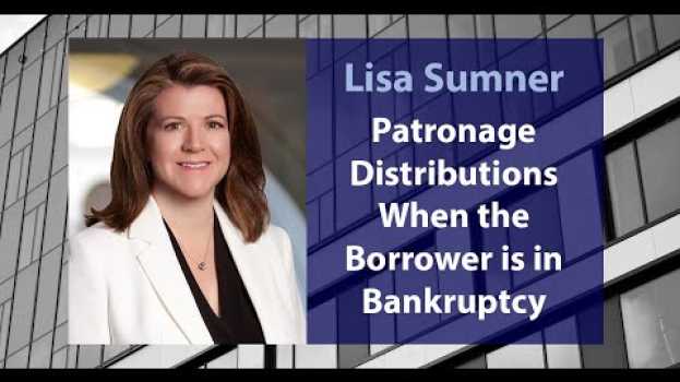 Видео Patronage Distributions When the Borrower is in Bankruptcy на русском
