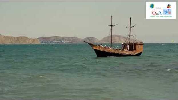 Video Who wrote “The Old Man and The Sea”? en Español