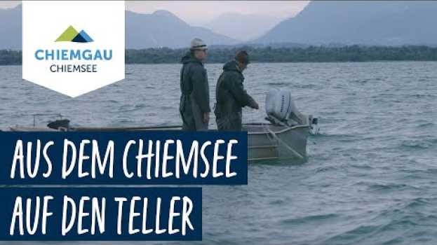 Video Auf Renkenjagd am Chiemsee in Deutsch
