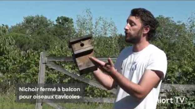 Видео Jardiner au naturel #2- Accueillir les oiseaux au jardin на русском