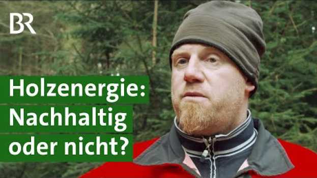 Video Heizen mit Hackschnitzeln: Gute Klimabilanz oder Raubbau im Wald? | Energiewende | Unser Land | BR en français