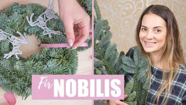 Video New Year's wreath from NOBILIS / Как быстро сделать Новогодний венок из НОБИЛИСА /  DIY Tsvoric su italiano