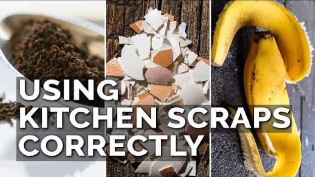 Video How to Use Eggshells, Banana Peels, and Coffee Grounds in the Garden na Polish