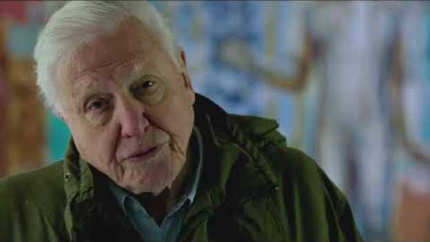 Video What is biodiversity? | David Attenborough: A Life On Our Planet in Deutsch