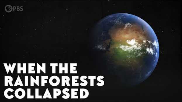 Video When the Rainforests Collapsed su italiano