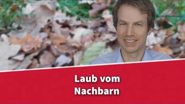 Видео Laub vom Nachbarn - was kann ich machen? | Rechtsanwalt Dr. Achim Zimmermann на русском