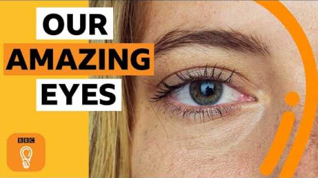 Видео What do our eyes say about us? | BBC Ideas на русском