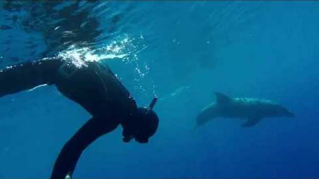 Video "Człowiek delfin" - teaser - premiera 17 sierpnia en Español