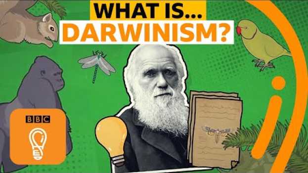 Video Charles Darwin's theory of evolution explained | A-Z of ISMs Episode 4 - BBC Ideas na Polish