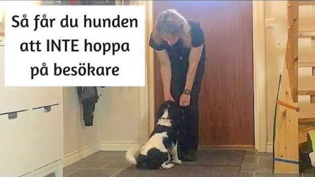 Video  po polsku