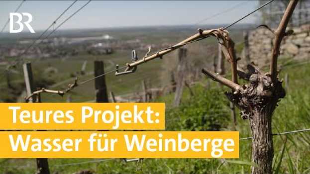 Video Kampf gegen Trockenheit - Projekt zur Weinbergbewässerung  | Unser Land | BR em Portuguese
