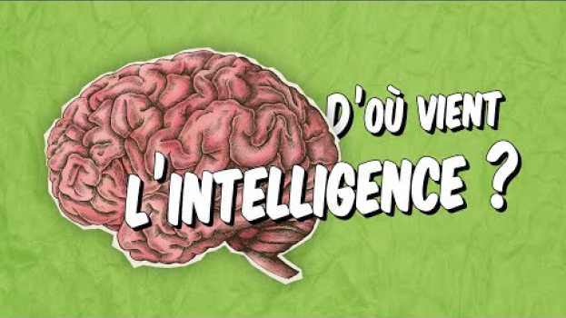 Video Psychologie - L'intelligence est-elle naturelle ou culturelle ? em Portuguese