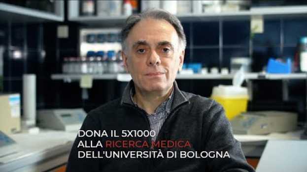 Video 2019 Intervista con il Prof. Pier Luigi Zinzani: 5x1000 alla ricerca medica in English