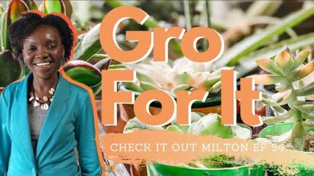 Video Gro For It | Embrace a Plant Filled Life on Check It Out Milton ep 54 em Portuguese