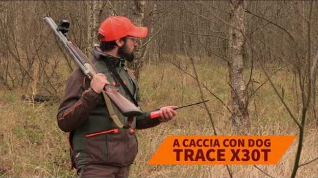 Video A caccia con il palmare GPS Dog Trace X30T da C&C Hunting em Portuguese