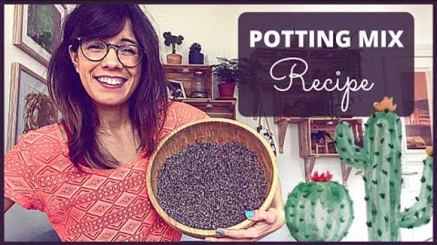 Video DIY potting mix for succulents and cacti ? | worm castings for succulents em Portuguese
