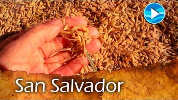 Video Historias del Pago Chico - San Salvador in English
