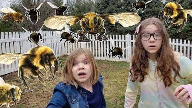 Video THE BEES ARE COMING. em Portuguese