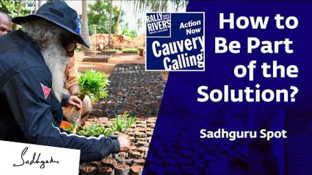 Video Cauvery Calling How to Be Part of the Solution? - Sadhguru Spot en français