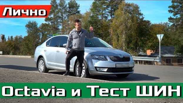 Video Новые VS Старые ШИНЫ! Сравниваем тормозной путь 100-0 у Skoda Octavia A7! #proAutoTV su italiano