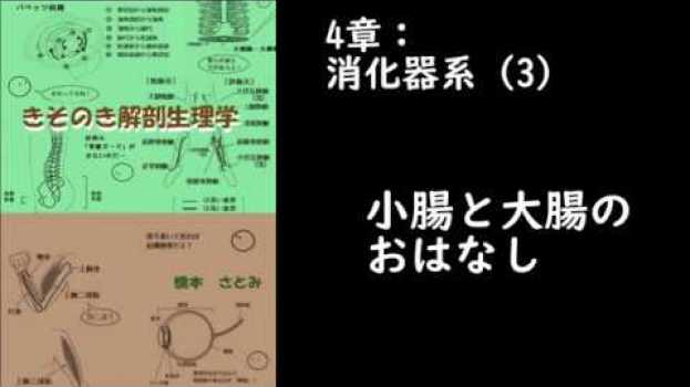 Video  in English