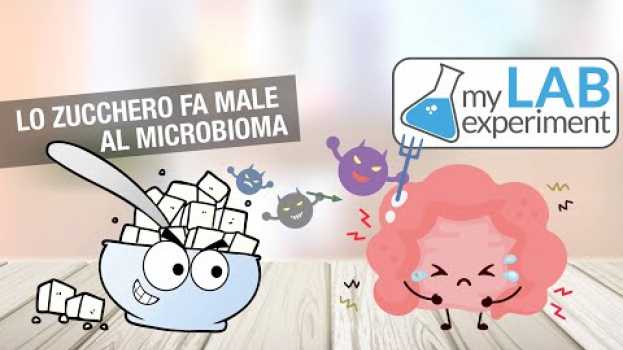 Video Lo Zucchero fa male al Microbioma (come se non lo sapessimo!) na Polish