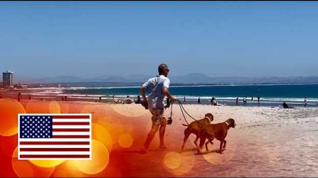 Video ?Many Happy Dogs at Coronado Dog Beach! in English