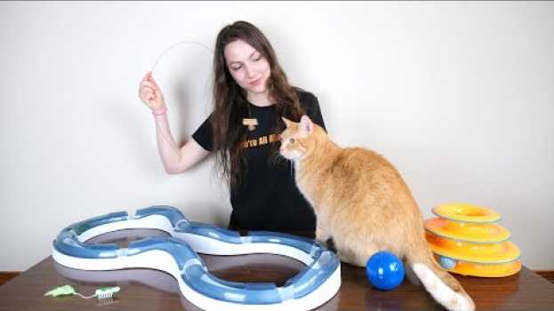 Видео Top 5 Best Cat Toys (We Tested Them All) на русском