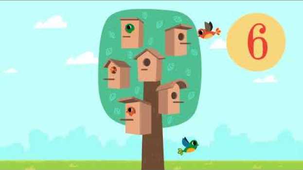 Video Castoro costruttore - Costruiamo una casetta per gli uccelli - Contare fino a 6 in English