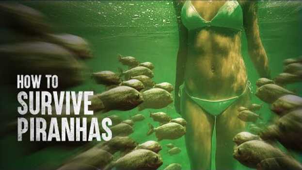 Video How to Survive a Piranha Feeding Frenzy em Portuguese