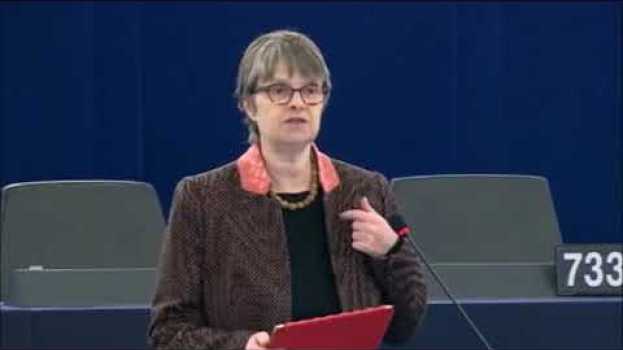 Video Why it matters that economics is dominated by men - Molly Scott Cato MEP in Deutsch