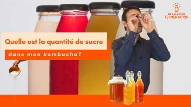 Видео Combien de sucre dans le kombucha? Utiliser un réfractomètre pour le savoir на русском