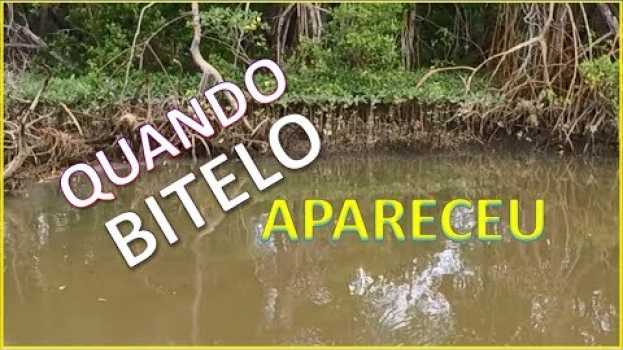 Video QUANDO MENOS SE ESPERA, O BITELO APARECE! Pescaria de Robalo no Mangue. in Deutsch