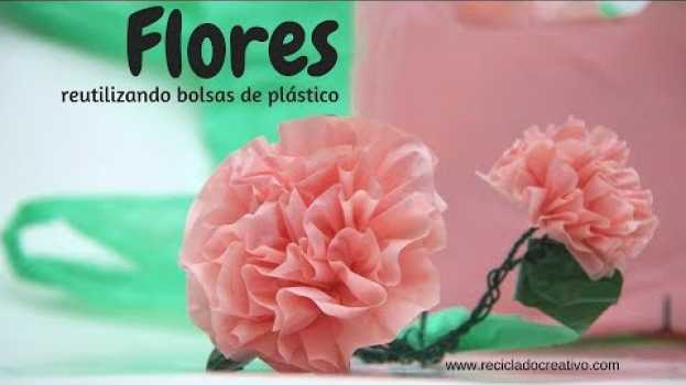 Video Cómo hacer preciosas flores reciclando bolsas de plástico in English