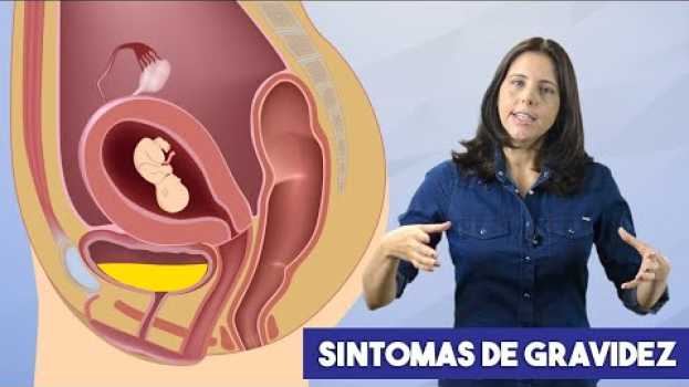 Video Primeiros Sintomas de Gravidez en Español