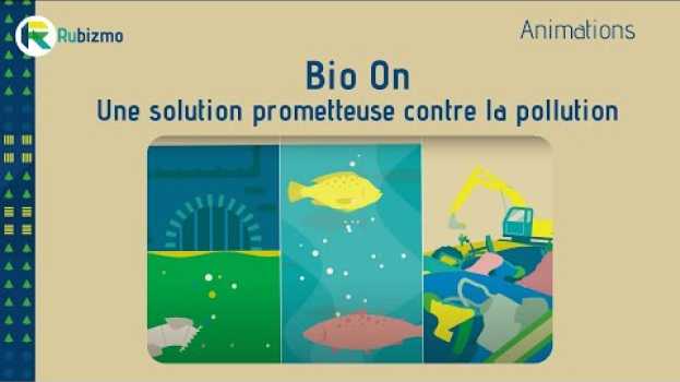 Video RUBIZMO Animations FR #07 - Une solution prometteuse contre la pollution en Español