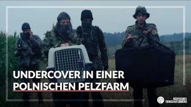 Video Undercover in einer polnischen Pelzfarm in English