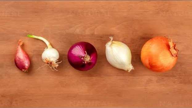 Video Which Onion Is The Healthiest? em Portuguese