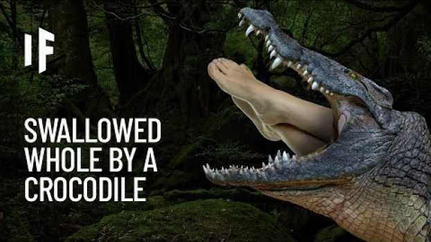 Video What If You Were Swallowed by a Crocodile? in English