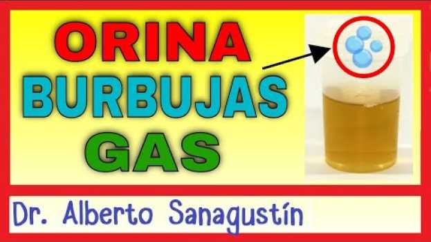 Video ¿Por qué tengo ORINA con BURBUJAS? (gas en la orina) 💦 em Portuguese