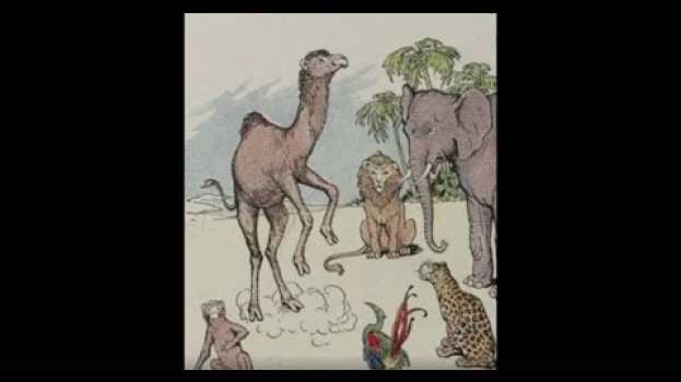 Video The Monkey and The Camel -- Aesop's Fable em Portuguese