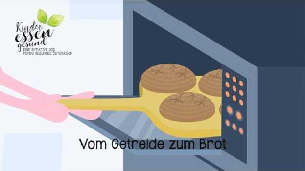 Video Vom Getreide zum Brot in Deutsch