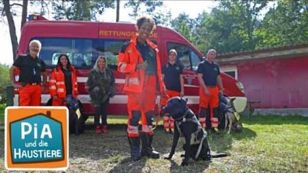 Video Ein Tag bei den Rettungshunden | Information für Kinder | Pia und die Haustiere SPEZIAL na Polish