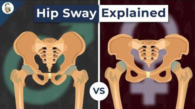 Video Why Do Women's Hips Sway When They Walk? su italiano