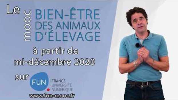 Video Teaser MOOC 2021_Bien-être des animaux d'élevage em Portuguese