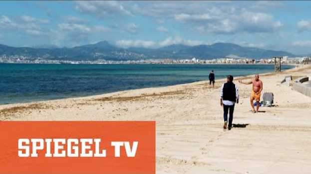 Video Die Party ist vorbei: Neue Armut auf Mallorca | SPIEGEL TV en français