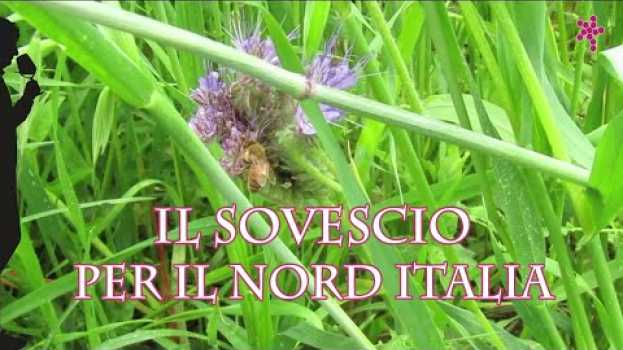 Video Il sovescio per il nord Italia em Portuguese