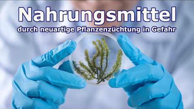 Video Nahrungsmittel durch neuartige Pflanzenzüchtung in Gefahr | 03. Februar 2021 | www.kla.tv/18056 en français