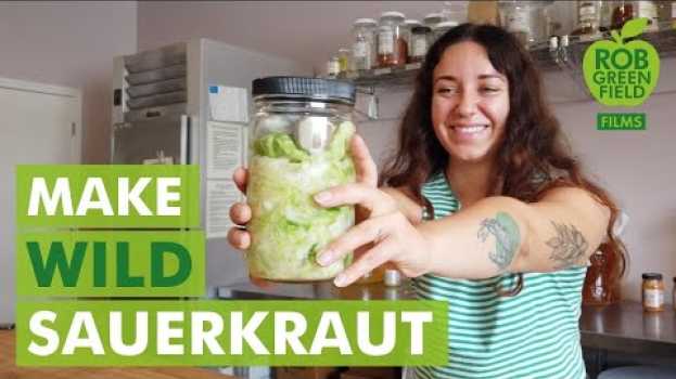Video How To Make Sauerkraut with Wild Fermentation! in English