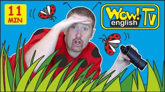 Video Animals in the Garden + MORE Stories with Steve and Maggie for Kids | Wow English TV in English